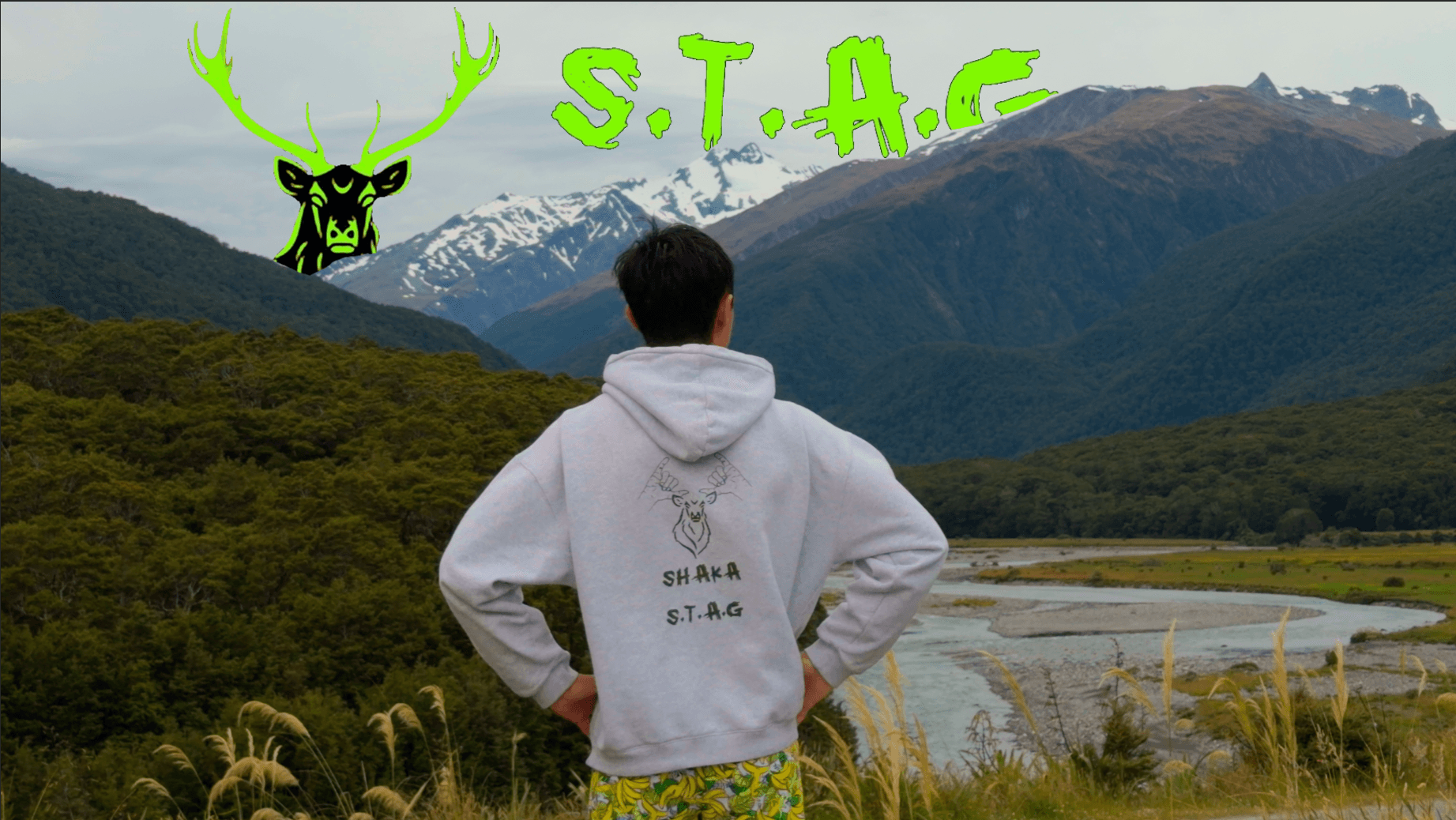 Welcome to the STAG website!